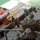 Marines embark on the USNS Sacagawea to begin Exercise Koa Moana 15.2 Marines embark on the USNS Sacagawea to begin Exercise Koa Moana 15.2