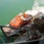 U.S. Marines embark on the USNS Sacagawea to begin Exercise Koa Moana 15.2 U.S. Marines embark on the USNS Sacagawea to begin Exercise Koa Moana 15.2