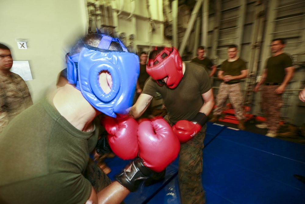 U.S. Marines fight to earn MCMAP instructor tab