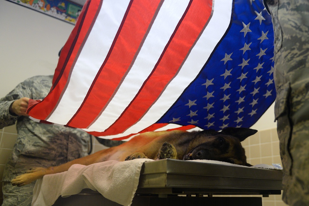 Military Working Dog Breston euthanized