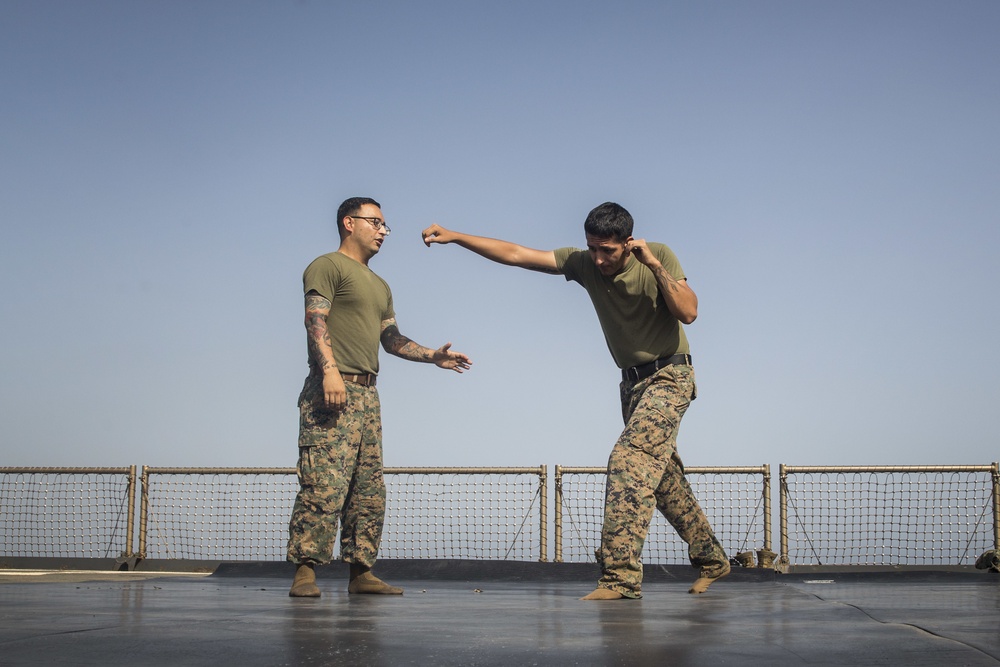 U.S. Marines sharpen hand-to-hand skills