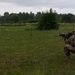 Estonia live-fire joint training exercise