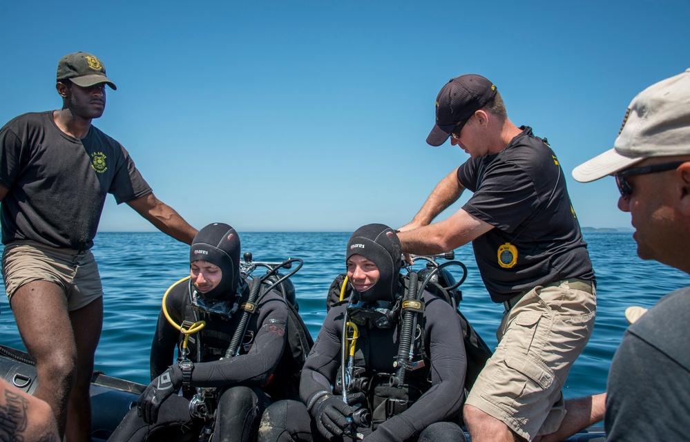 US and Republic of Korea military forces partner during CJLOTS 2015