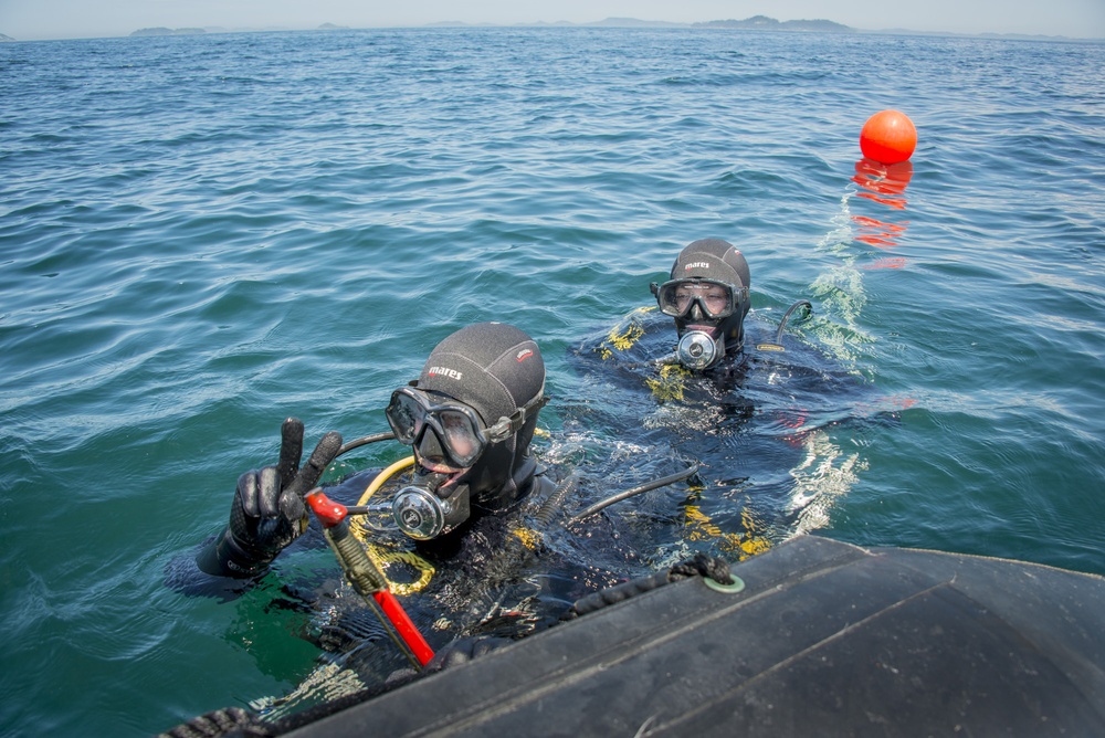 US and Republic of Korea military forces partner during CJLOTS 2015