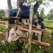 Veterinary engagement in Papua New Guinea