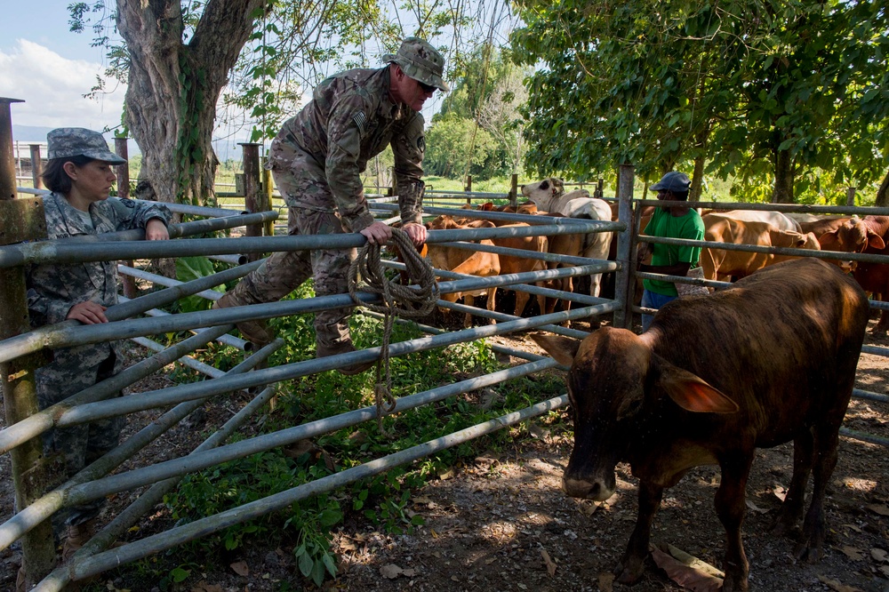 Pacific Partnership holds a veterinary clinic at Vudal, Papua New Guinea