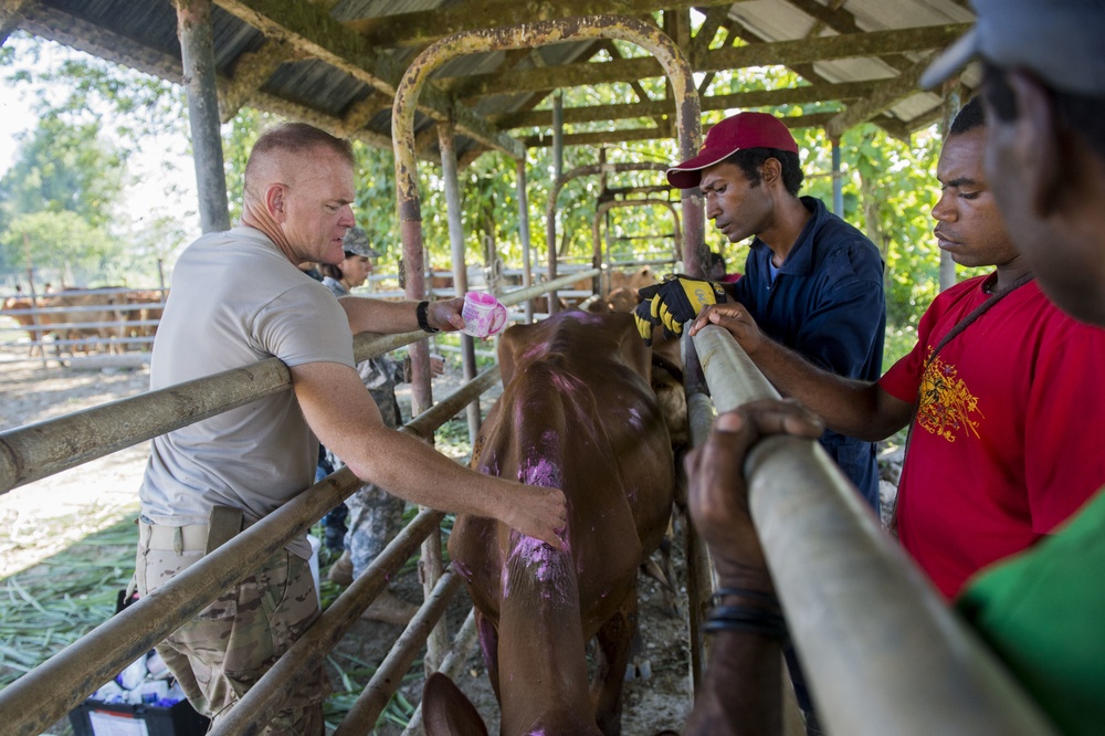 Pacific Partnership holds a veterinary clinic at Vudal, Papua New Guinea