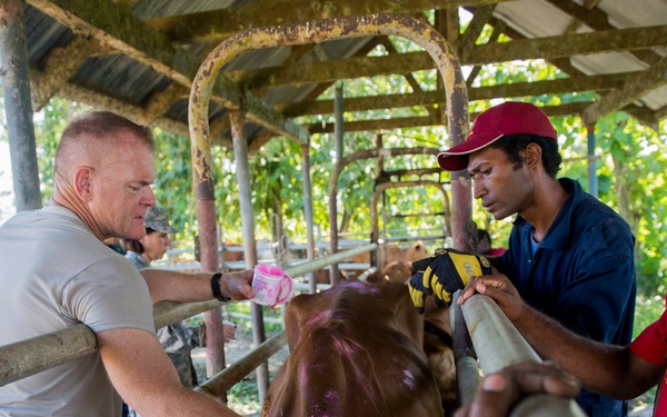 Pacific Partnership holds a veterinary clinic at Vudal, Papua New Guinea