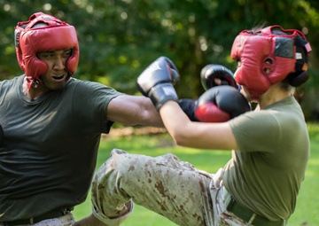 2nd MAW Marines Undergo MCMAP Training
