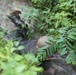 Service Company conquers endurance course obstacles, swamps