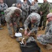 Caring for our military working dogs