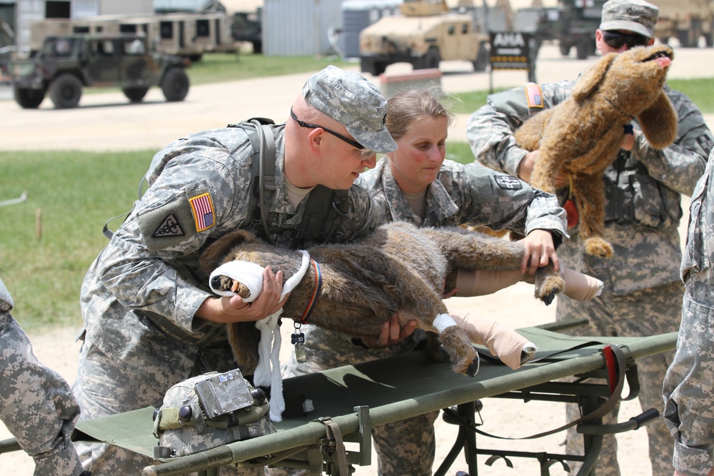 Caring for our military working dogs