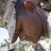 Delta Company Marines undergo 60mm Mortar training