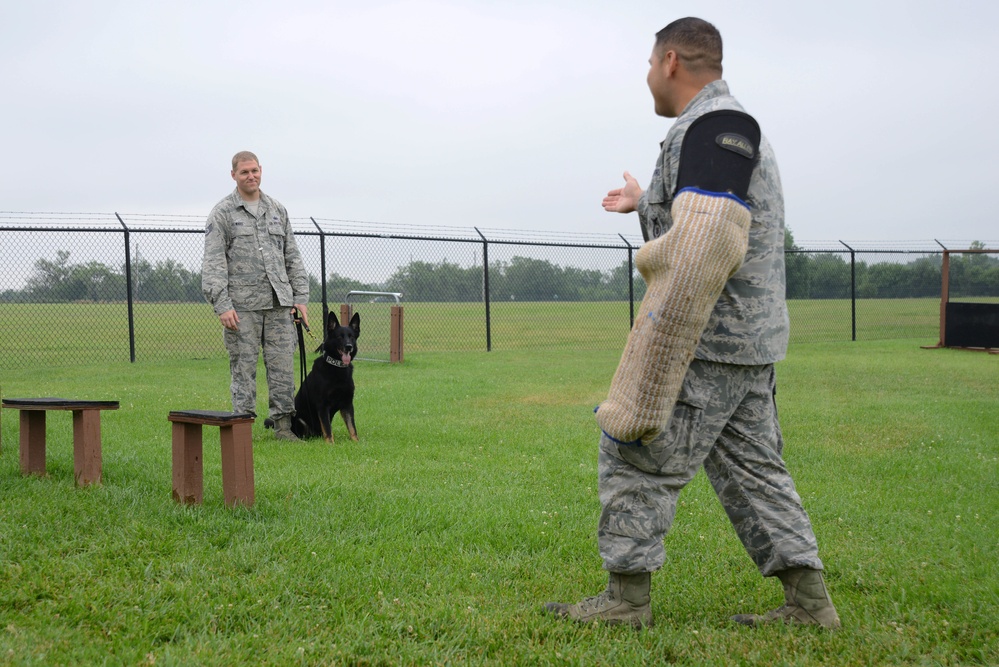 Cadets visit 22nd Security Forces Squadron kennel