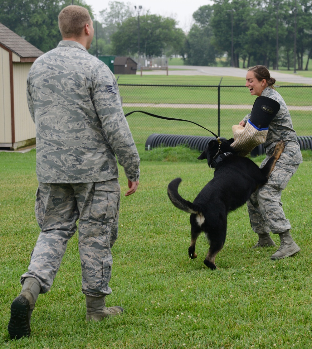 Cadets visit 22nd Security Forces Squadron kennel