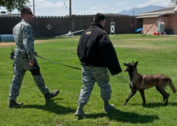 Man’s best friend keeps Nellis safe