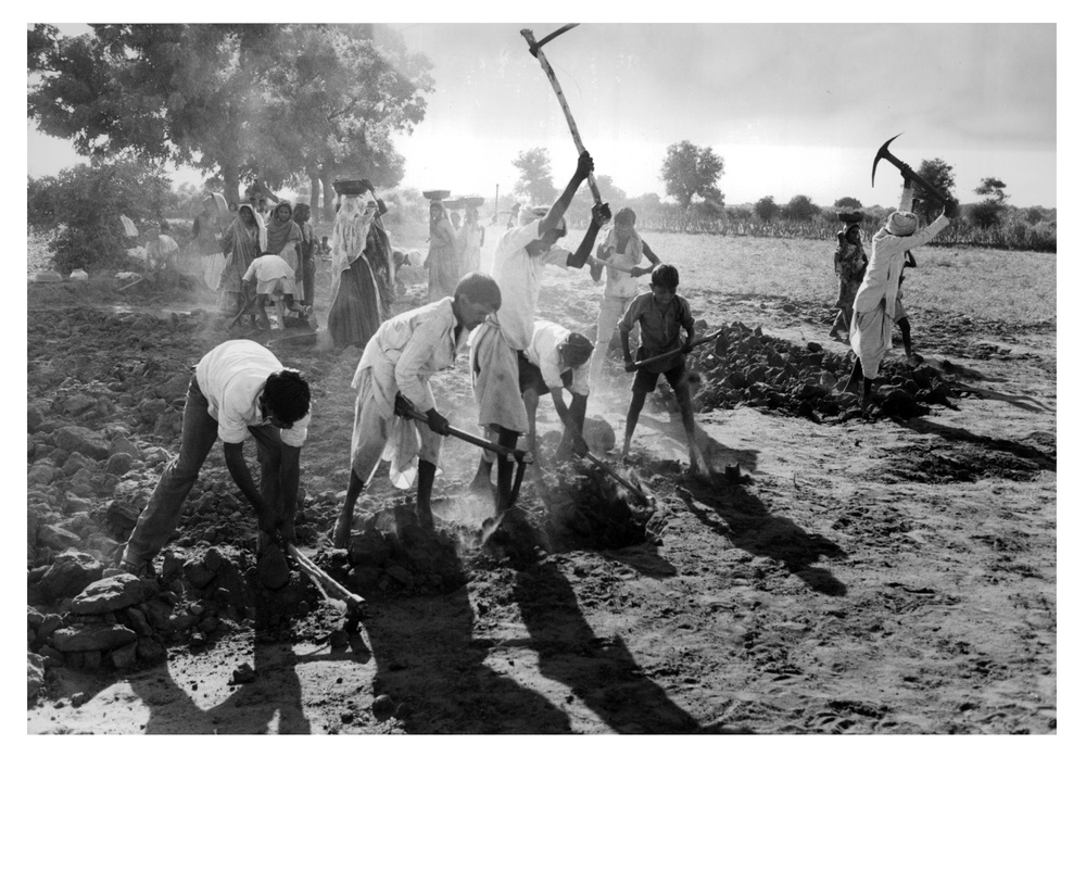 Workers in a field