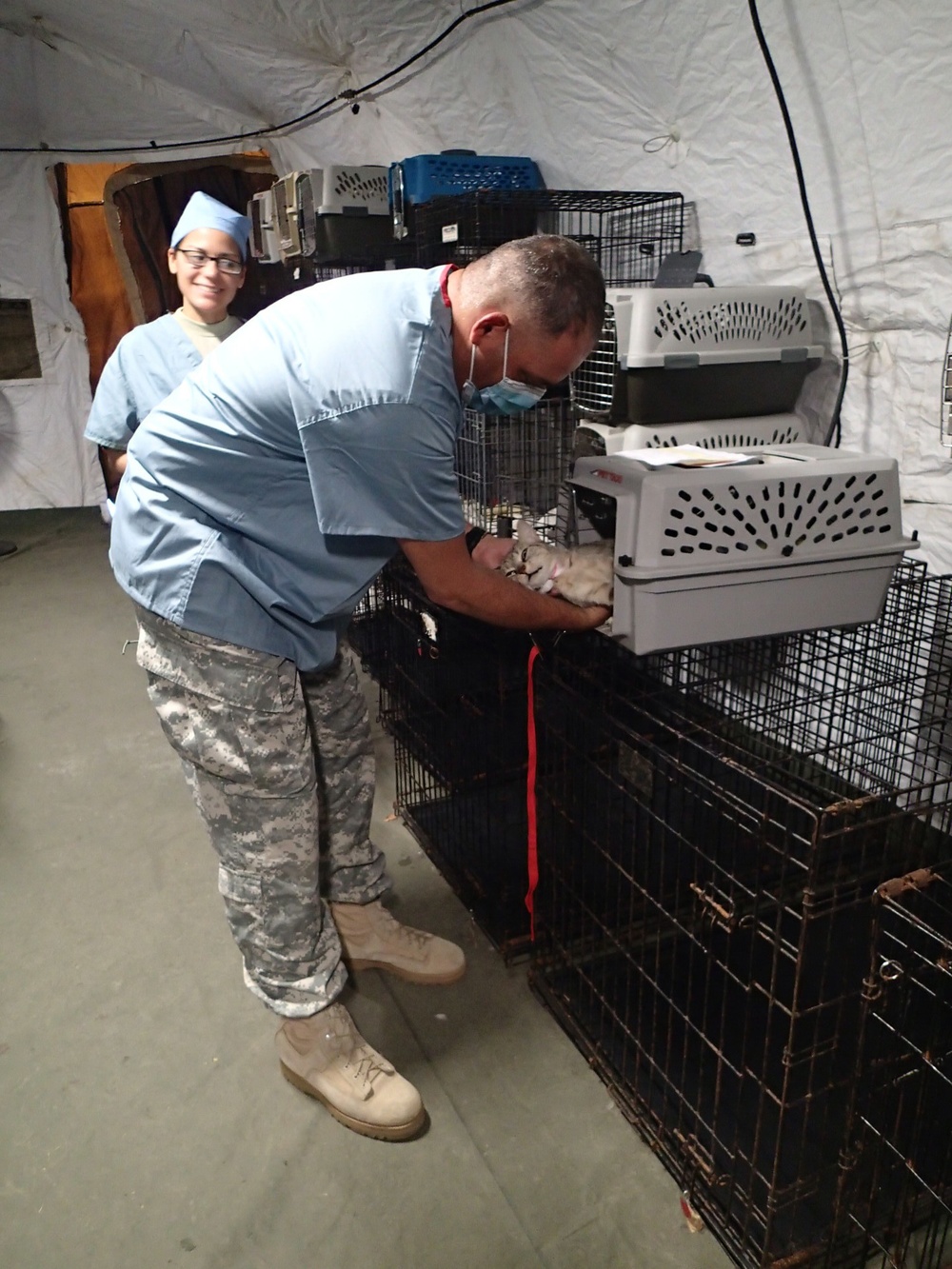 Service members provide veterinary care for patients during IRT mission at Norwich, NY