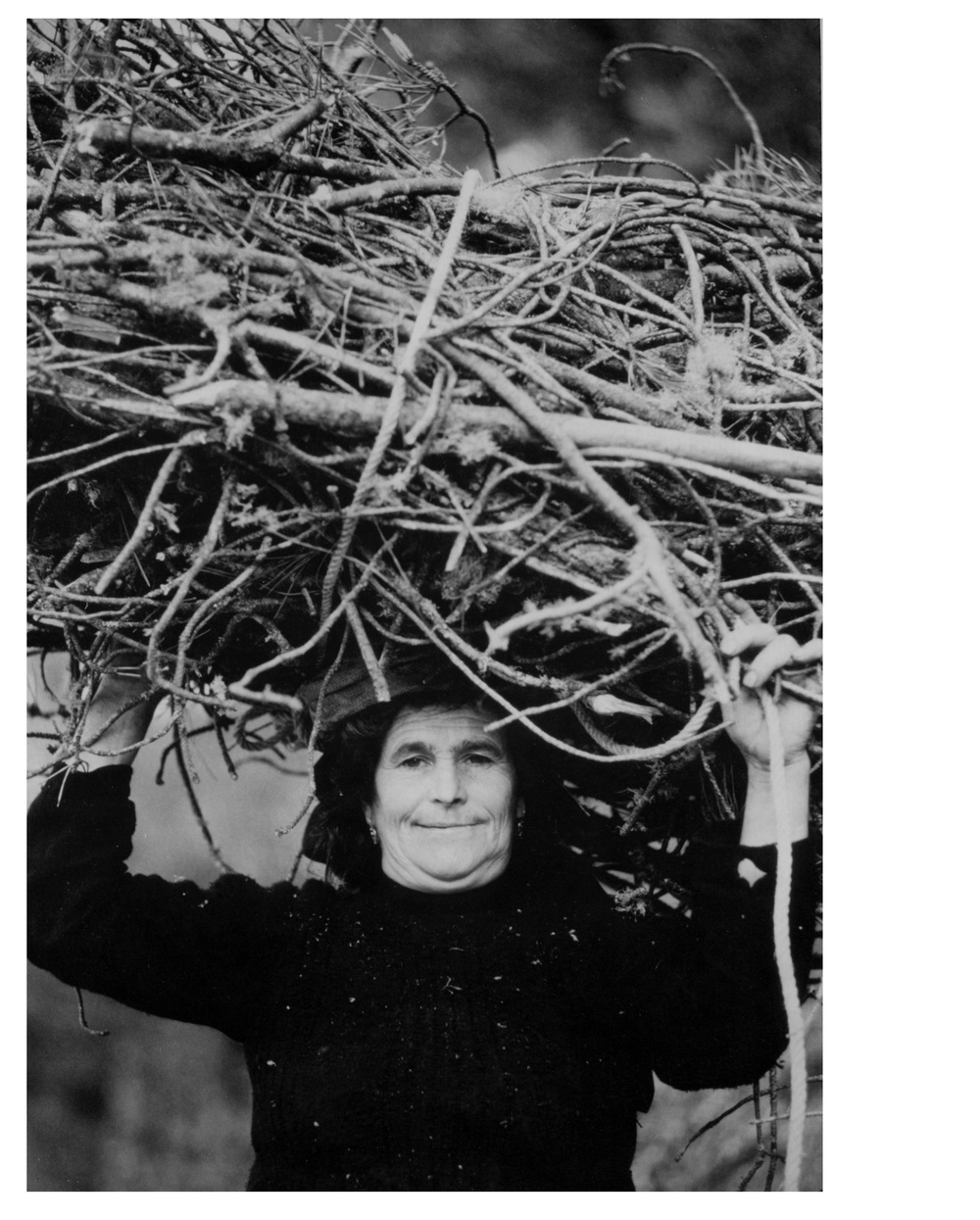 Woman carrying cut branches on head