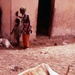 Dying cow in Mauritania