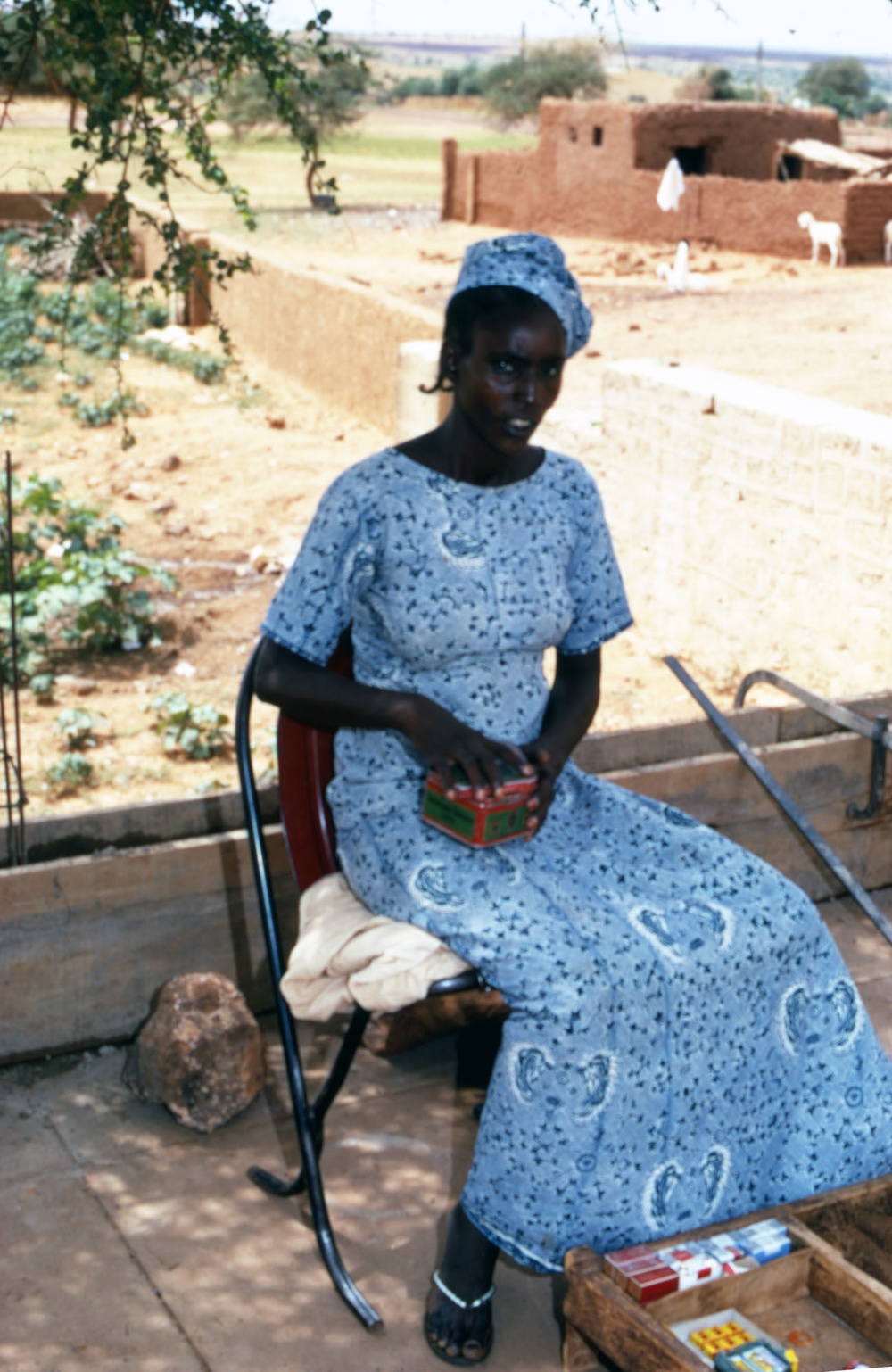 Woman street vendor, Niger