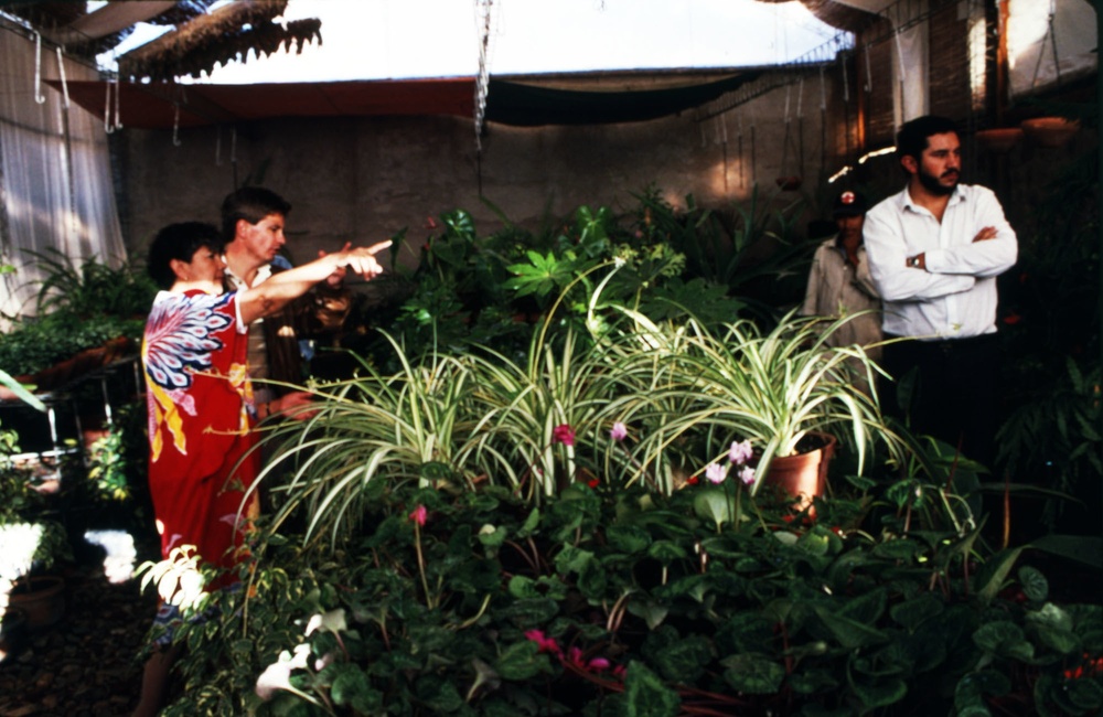 Florist in Sucre, Bolivia