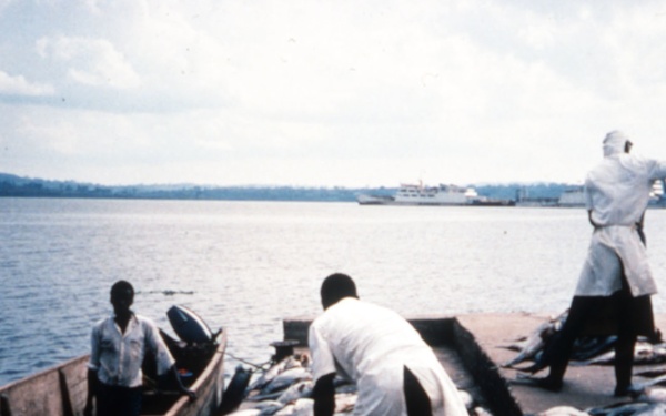 Fish Processing, Uganda