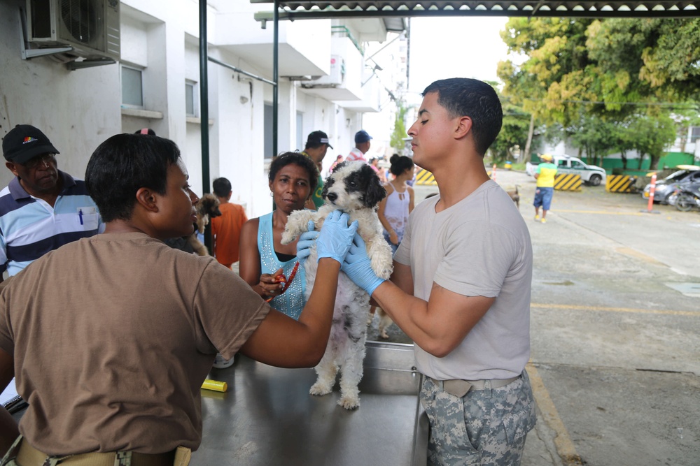 Continuing Promise 2015