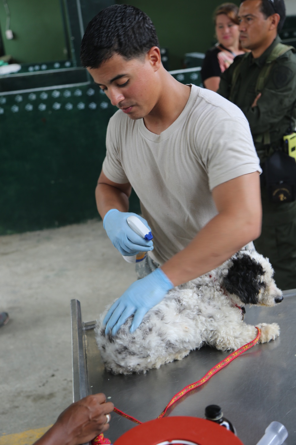 Continuing Promise 2015