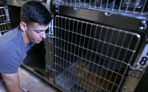 Cherry Point’s SMP enriches lives of Marines, Sailors