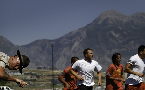A U.S. Marine drill instructor in desert camouflage uniform and campaign cover is conducting a physical training exercise with a group of civilians or recruits on a grass field. One participant, a young woman in a white shirt and red shorts, is lying prone on the ground while the instructor leans over her, pointing and apparently issuing commands. Other participants in matching white shirts and red shorts are running in the background, with orange traffic cones marking the course and mountains visible in the distance.