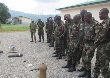 US troops conduct counter IED training in Cameroon