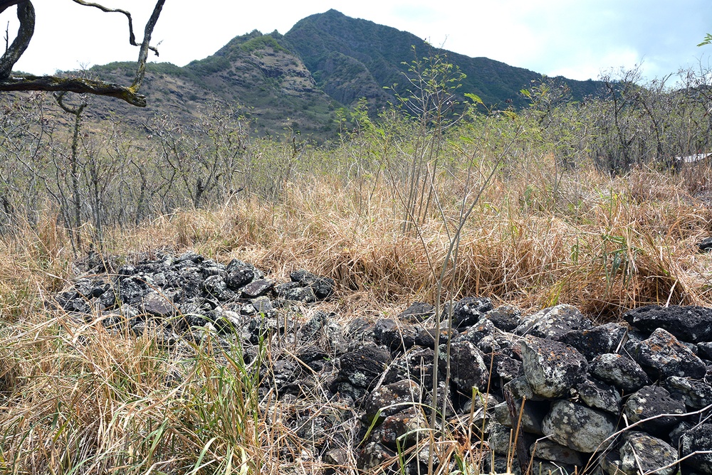 Hawaiian community visits Nioi`ula Heiau in Lualualei Valley