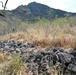 Hawaiian community visits Nioi`ula Heiau in Lualualei Valley