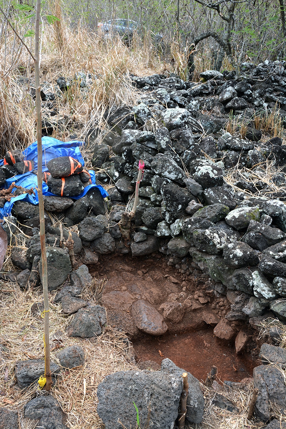 Hawaiian community visits Nioi`ula Heiau in Lualualei Valley