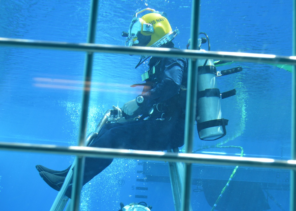 Diver training