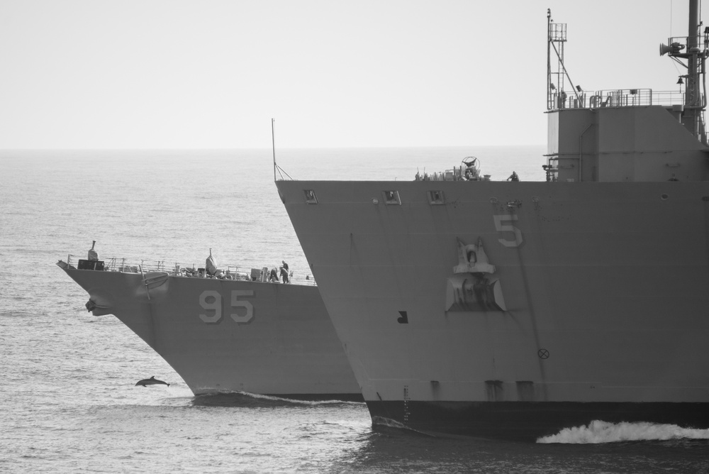 Dolphins bow surf in front of USS James E. Williams