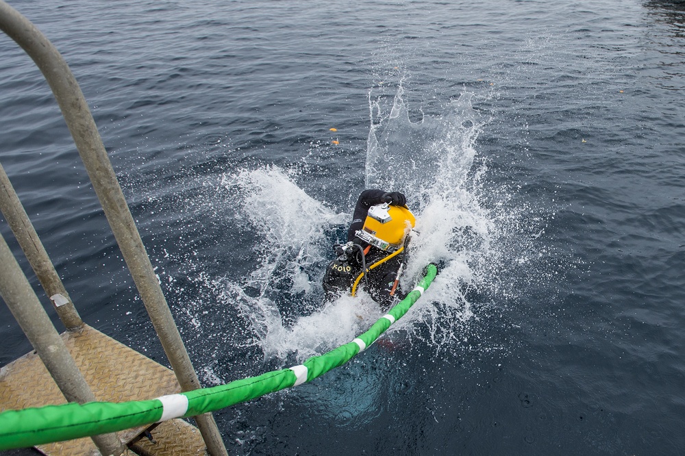 UCT Diver Training 2015