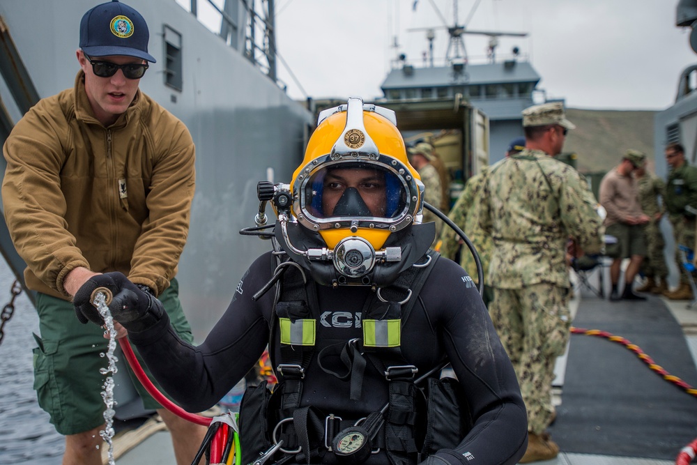 UCT Diver Training 2015