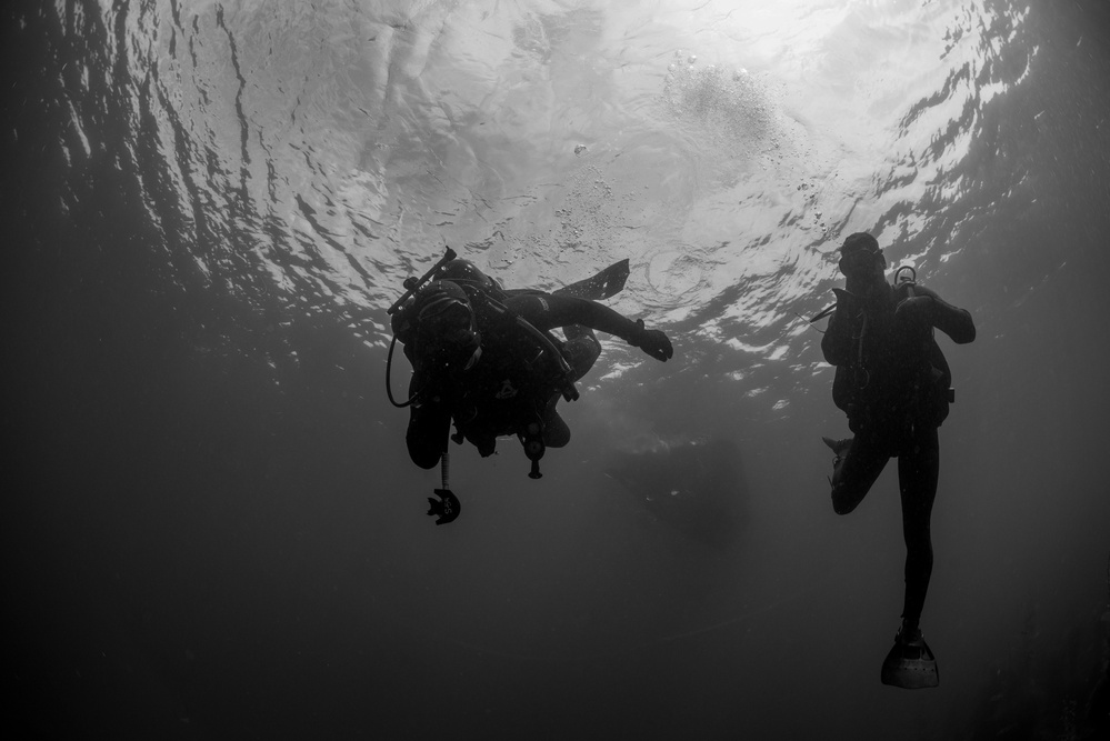 UCT Diver Training 2015