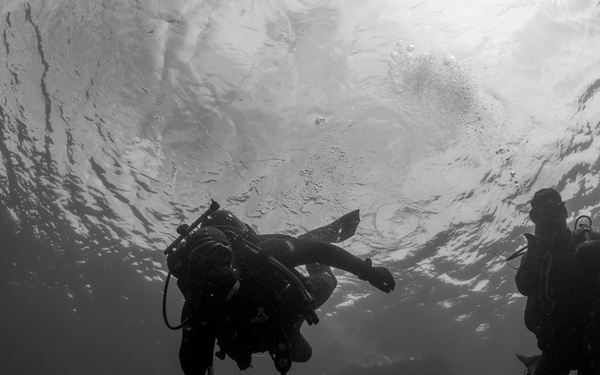 UCT Diver Training 2015