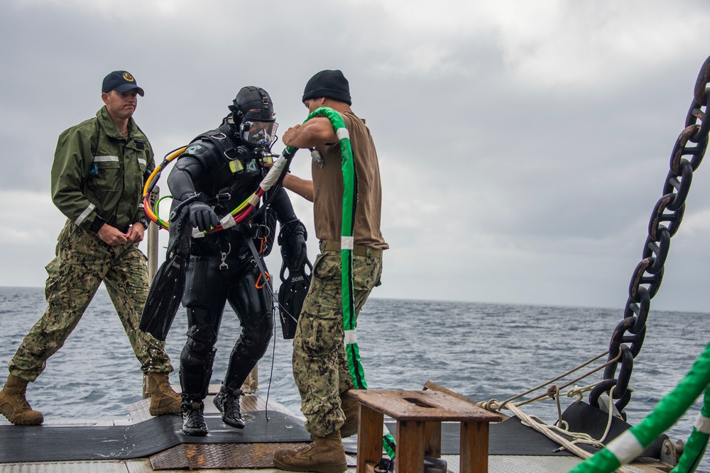 UCT Diver Training 2015