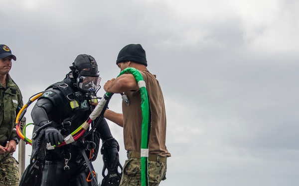 UCT Diver Training 2015