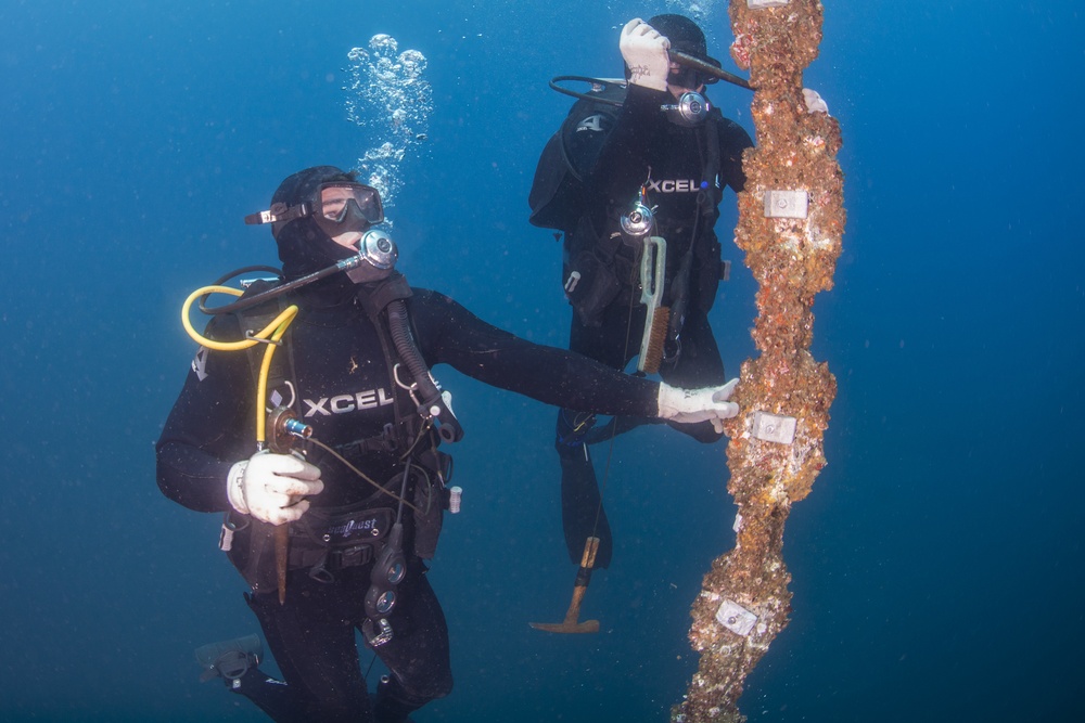 UCT Diver Training 2015