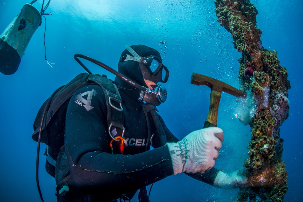 UCT Diver Training 2015