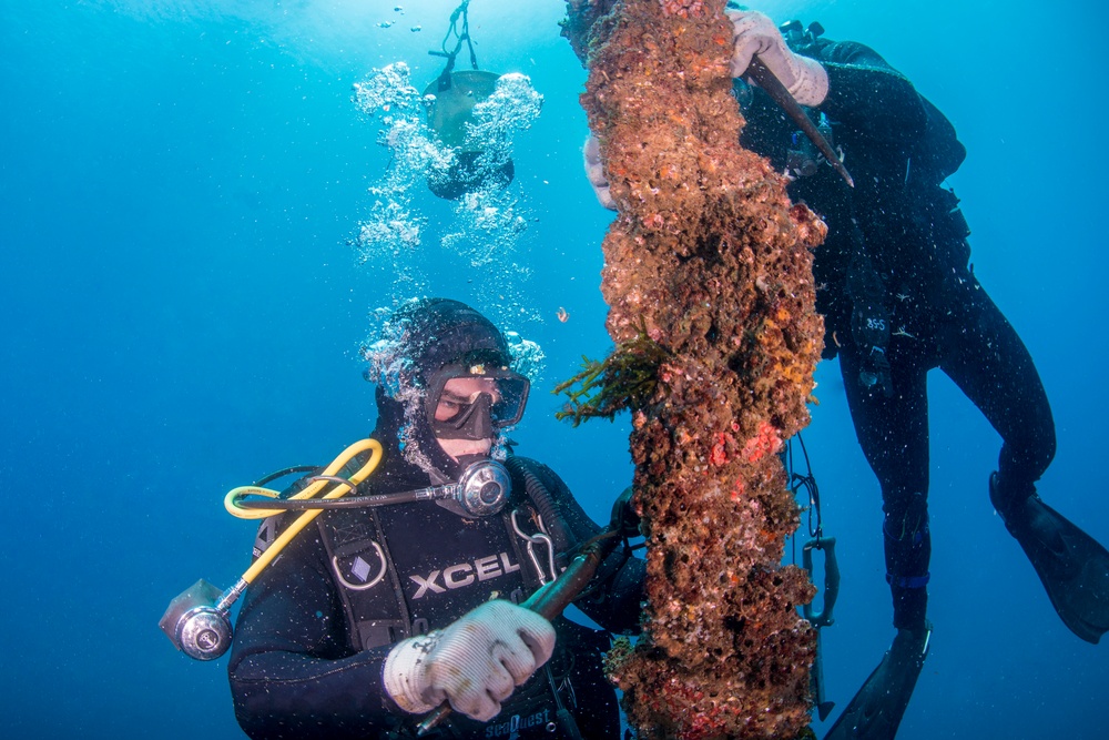 UCT Diver Training 2015