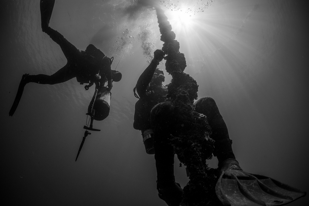 UCT Diver Training 2015