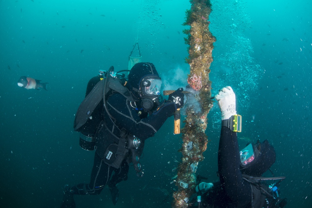 UCT Diver Training 2015