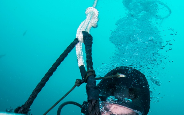 UCT Diver Training 2015