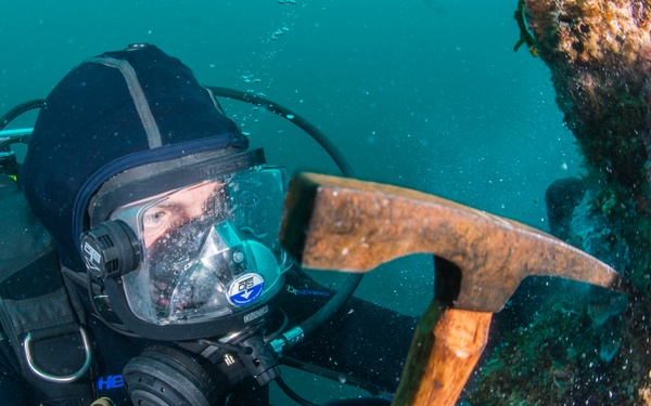 UCT Diver Training 2015